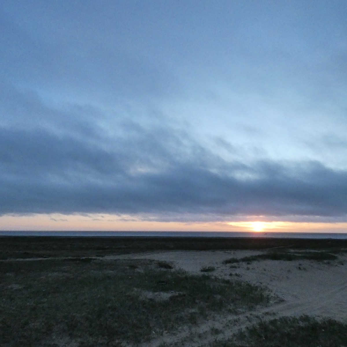 The peculiar particularities