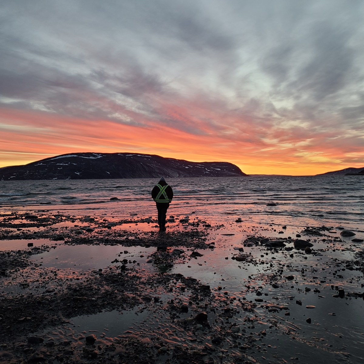 Delicacies of Nunavik